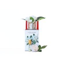 Double Gardenia Flower Gift